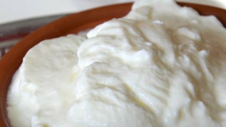 Yoğurt